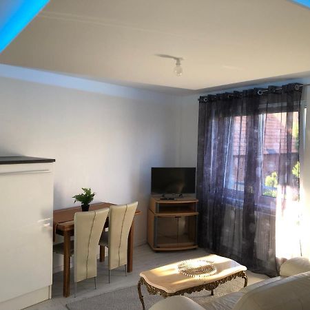 Appartement Willa Chez Willi Niederschaeffolsheim Eksteriør billede