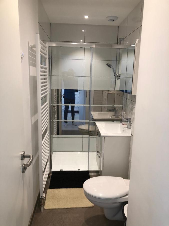 Appartement Willa Chez Willi Niederschaeffolsheim Eksteriør billede